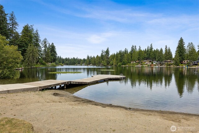 21831 SE 271st Pl, Maple Valley, WA 98038 - photo 31