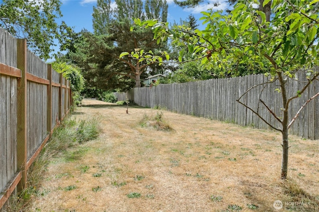 889 SW Kingma Ct, Oak Harbor, WA 98277 - view of fenced backyard