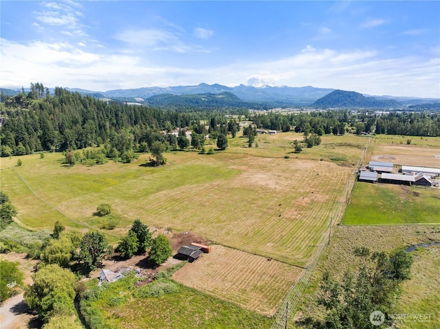 26803 SE 416th St, Enumclaw, WA 98022 - photo 40