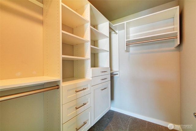 2014 101st Ave SE Unit 6, Lake Stevens, WA 98258 - spacious closet featuring dark colored carpet