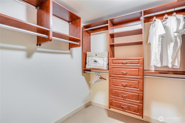 10650 NE 9th Pl Unit 3208, Bellevue, WA 98004 - spacious closet featuring carpet