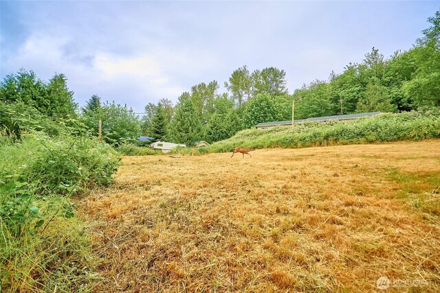 16712 SE May Valley Rd, Renton, WA 98059 - photo 8