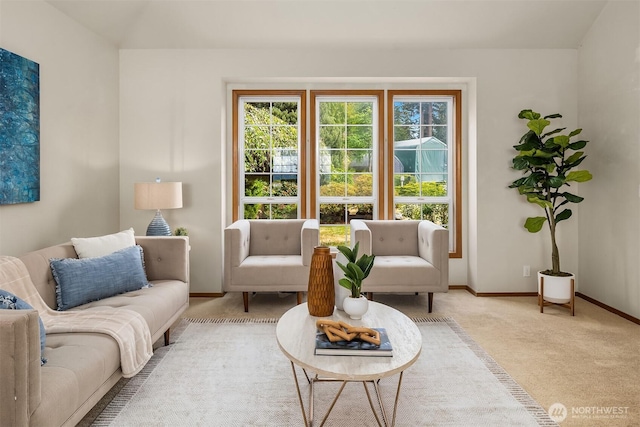 1021 N Sunset Dr, Camano Island, WA 98282 - living room featuring carpet floors and baseboards