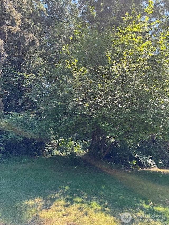 12408 93rd St, Anderson Island, WA 98303
