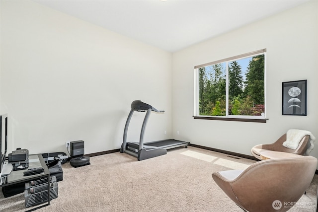 12529 287th Ave SE, Monroe, WA 98272 - photo 26
