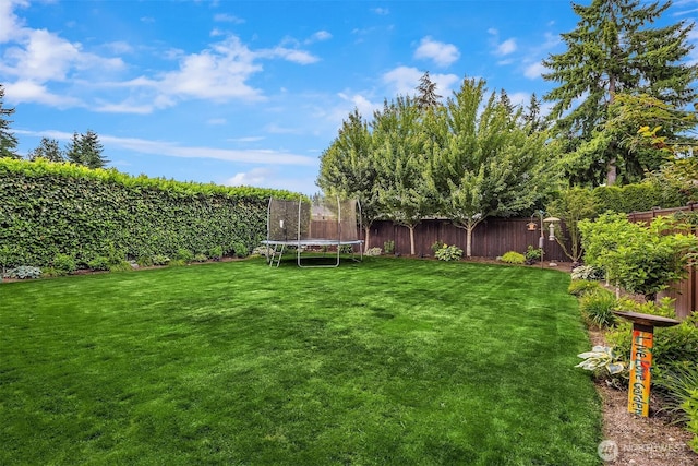 8411 202nd St SW, Edmonds, WA 98026 - fenced backyard featuring a trampoline