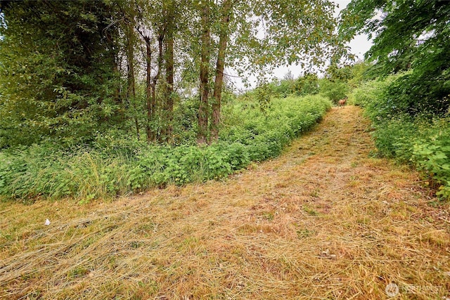 16718 SE May Valley Rd, Renton, WA 98059 - photo 5
