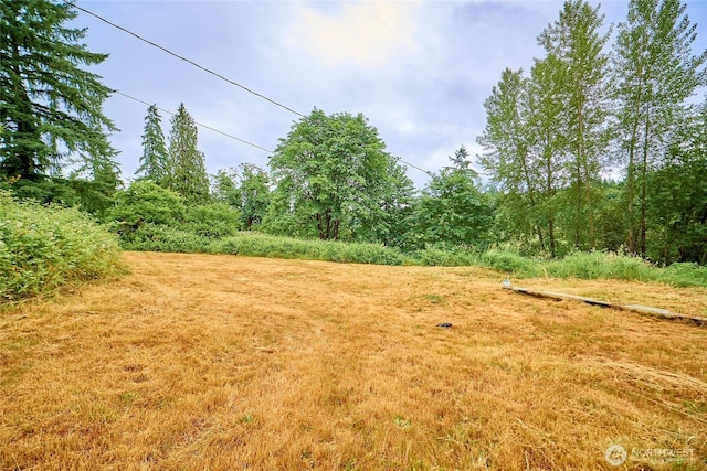16718 SE May Valley Rd, Renton, WA 98059 - photo 8