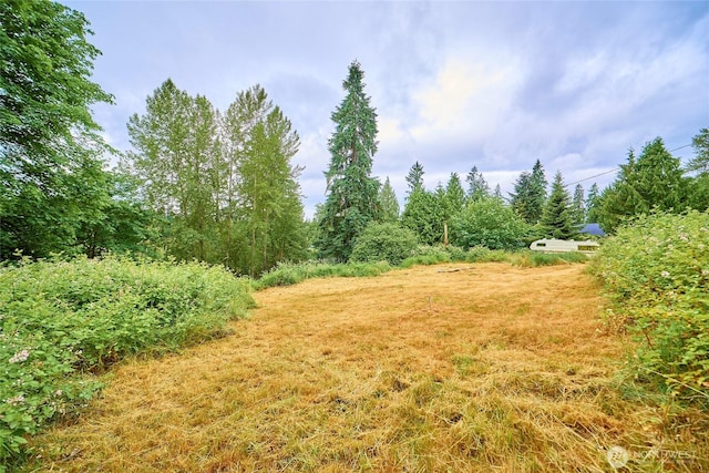 16718 SE May Valley Rd, Renton, WA 98059 - photo 9
