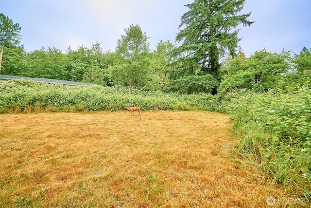 16718 SE May Valley Rd, Renton, WA 98059 - photo 10