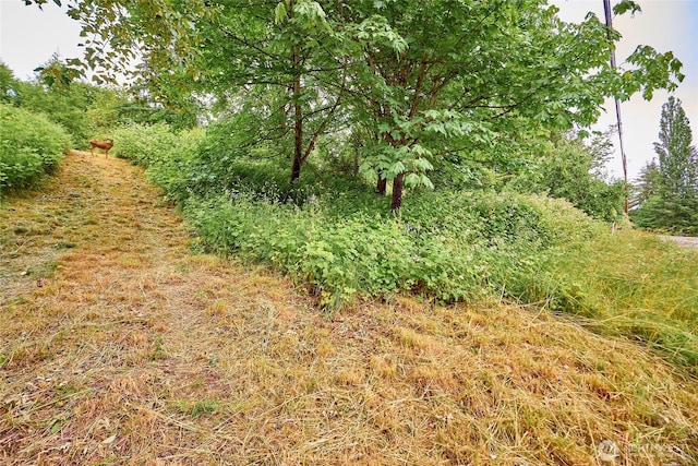 16718 SE May Valley Rd, Renton, WA 98059 - photo 7