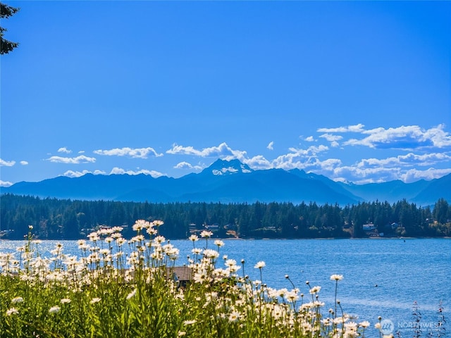 13282 Seabeck Hwy NW, Seabeck, WA 98380 - photo 3