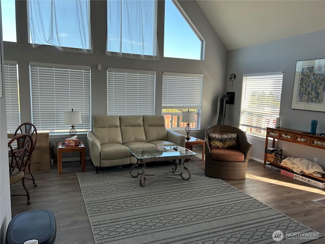 416 S Bel Air Loop SW, Ocean Shores, WA 98569 - living area featuring high vaulted ceiling and wood finished floors