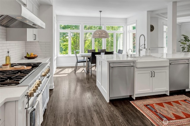 6581 156th Ave SE, Bellevue, WA 98006 - kitchen with under cabinet range hood, appliances with stainless steel finishes, plenty of natural light, and dark wood finished floors