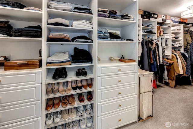 6581 156th Ave SE, Bellevue, WA 98006 - spacious closet with light carpet