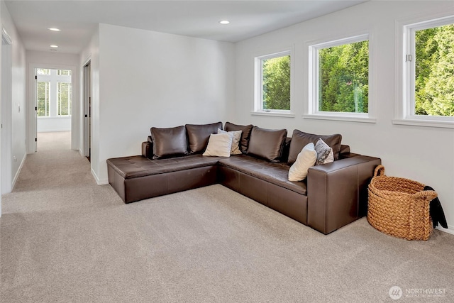 6581 156th Ave SE, Bellevue, WA 98006 - carpeted living area with plenty of natural light and recessed lighting