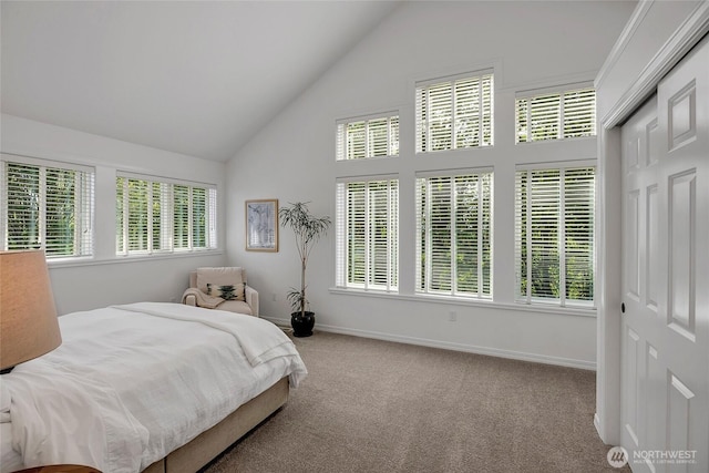 6581 156th Ave SE, Bellevue, WA 98006 - carpeted bedroom with high vaulted ceiling and baseboards