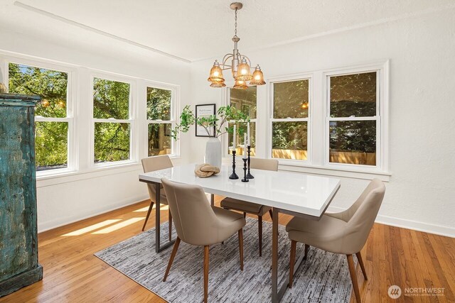 3112 NE 65th St, Seattle, WA 98115 - dining area with a chandelier, plenty of natural light, and light wood-style floors