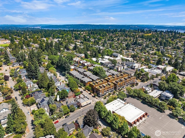 3112 NE 65th St, Seattle, WA 98115 - drone / aerial view