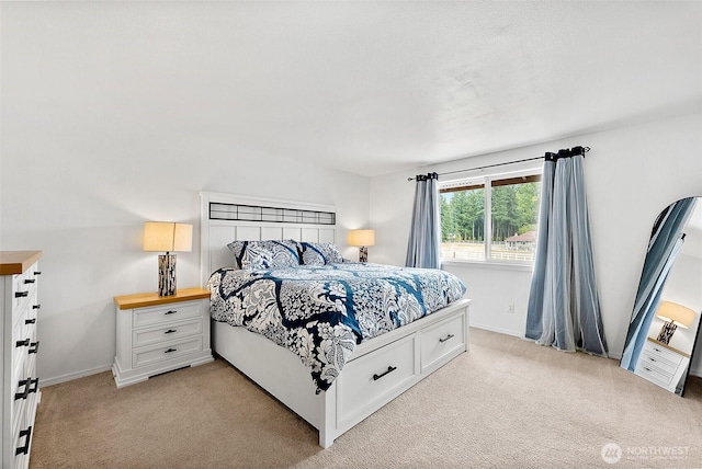 9321 339th St S Unit 5, Roy, WA 98580 - bedroom with light carpet
