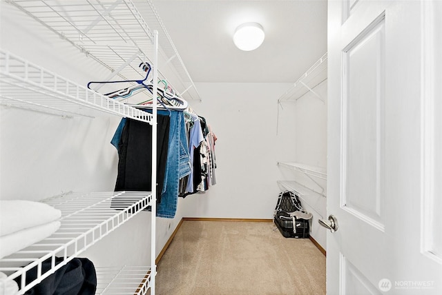 9321 339th St S Unit 5, Roy, WA 98580 - walk in closet with carpet floors
