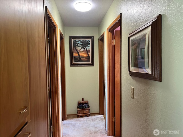 158 Skaggs Rd, Morton, WA 98356 - corridor featuring light colored carpet and a textured wall