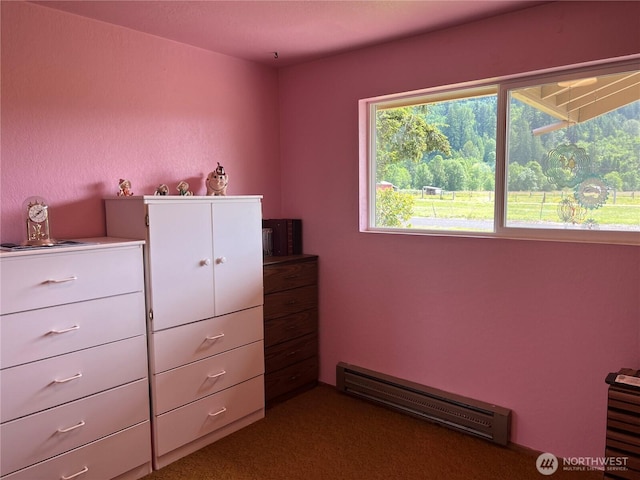 158 Skaggs Rd, Morton, WA 98356 - bedroom featuring baseboard heating and carpet floors