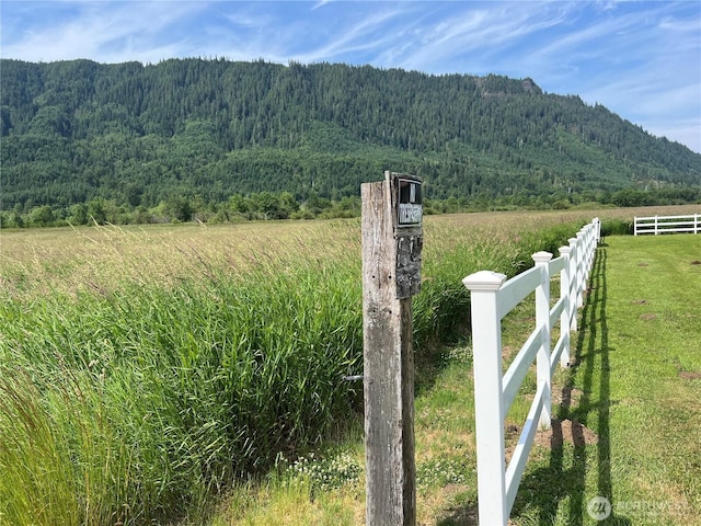 158 Skaggs Rd, Morton, WA 98356 - view of mountain backdrop featuring a heavily wooded area and rural landscape