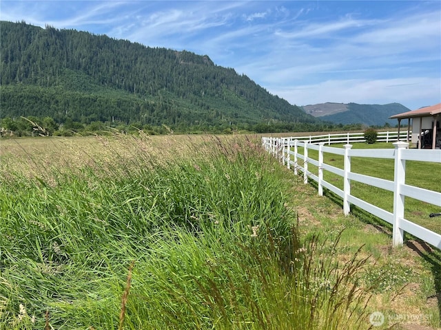 158 Skaggs Rd, Morton, WA 98356 - mountain view with a forest and rural landscape