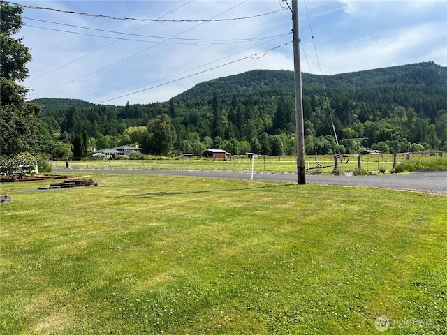 158 Skaggs Rd, Morton, WA 98356 - view of mountain background with a forest