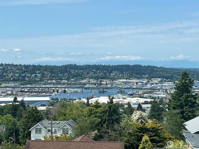 4411 Greenwood Ave N, Seattle, WA 98103 - water view