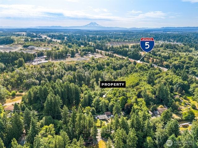 1680 Draham Rd NE, Lacey, WA 98516 - photo 2