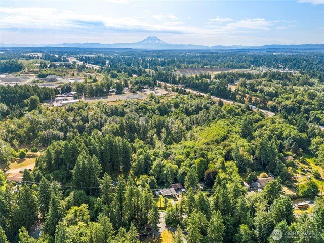 1680 Draham Rd NE, Lacey, WA 98516 - photo 3