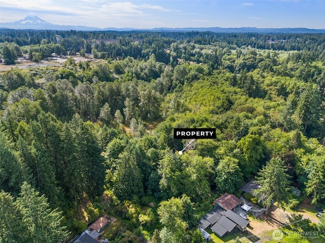 1680 Draham Rd NE, Lacey, WA 98516 - photo 6