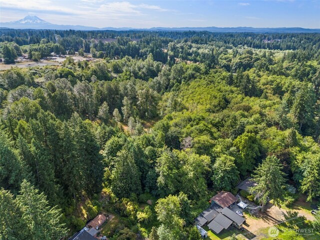 1680 Draham Rd NE, Lacey, WA 98516 - photo 7