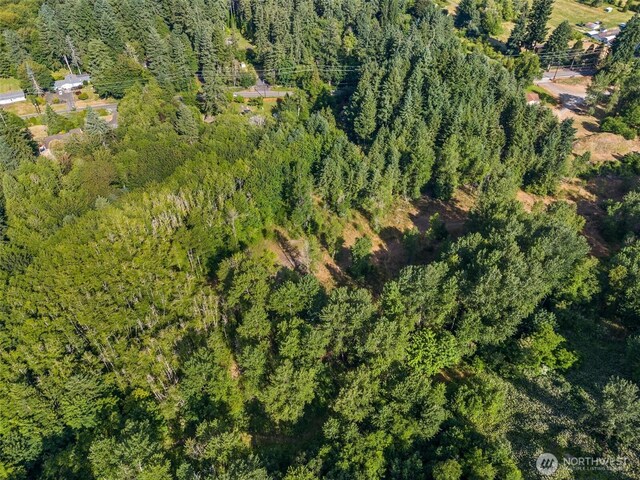 1680 Draham Rd NE, Lacey, WA 98516 - photo 10