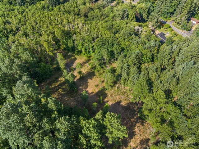 1680 Draham Rd NE, Lacey, WA 98516 - photo 11