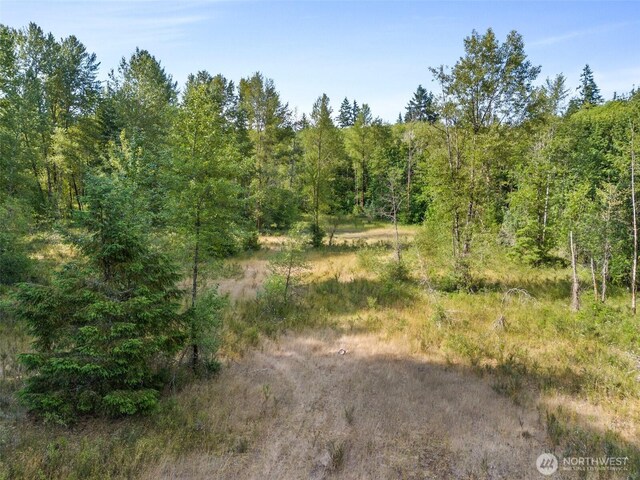 1680 Draham Rd NE, Lacey, WA 98516 - photo 13
