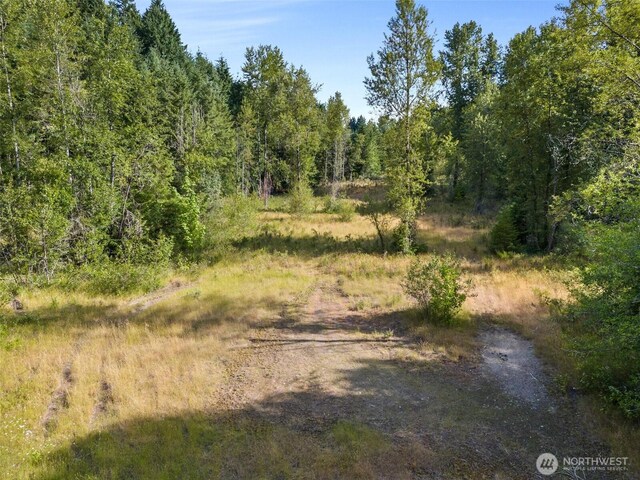 1680 Draham Rd NE, Lacey, WA 98516 - photo 14