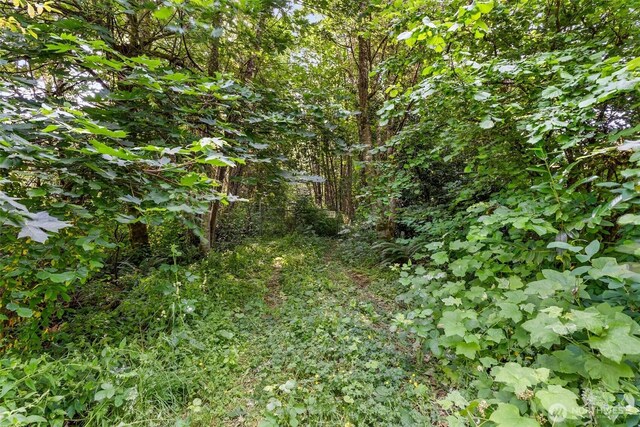 1680 Draham Rd NE, Lacey, WA 98516 - photo 16
