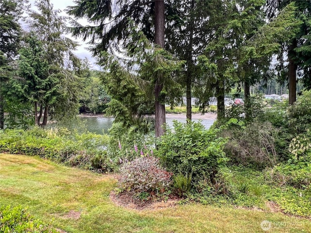 91 N Chandler Ct Unit D, Port Ludlow, WA 98365 - view of grassy yard with a water view