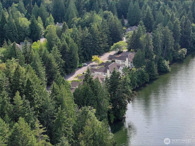 91 N Chandler Ct Unit D, Port Ludlow, WA 98365 - bird's eye view of a nearby body of water and a forest