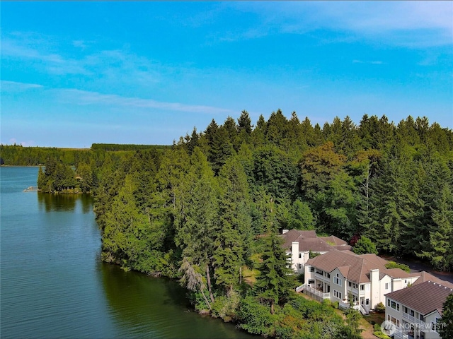 91 N Chandler Ct Unit D, Port Ludlow, WA 98365 - drone / aerial view of a forest and a nearby body of water