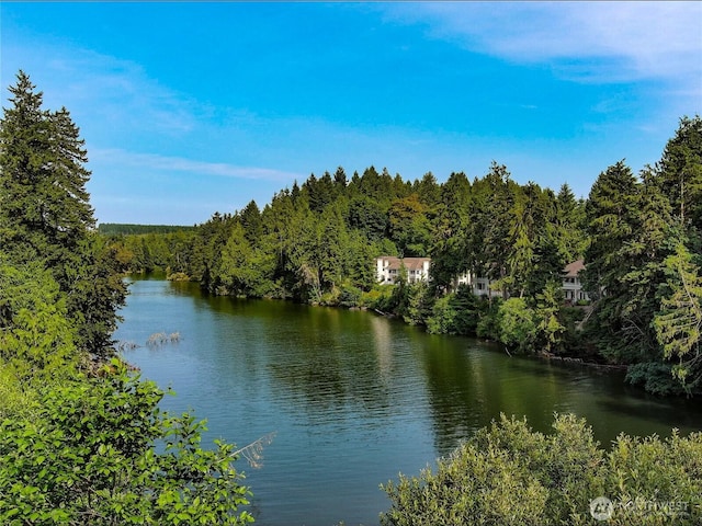 91 N Chandler Ct Unit D, Port Ludlow, WA 98365 - water view with a heavily wooded area