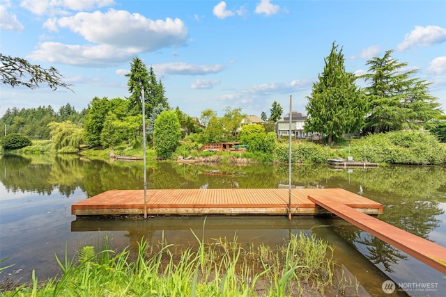 11028 E Riverside Dr, Bothell, WA 98011 - dock with a water view