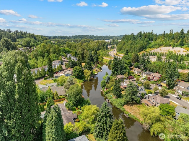 11028 E Riverside Dr, Bothell, WA 98011 - aerial perspective of suburban area featuring a large body of water