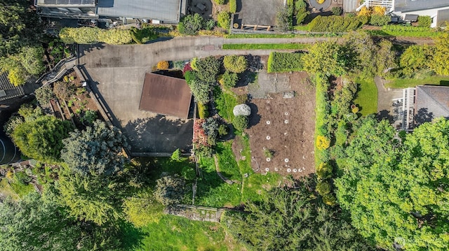 3253 Perkins Ln W, Seattle, WA 98199 - photo 5