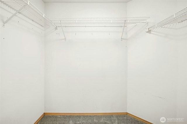 43712 SE 168th St, North Bend, WA 98045 - spacious closet featuring carpet