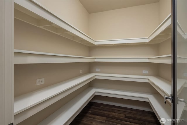 3919 172nd Pl SE, Bothell, WA 98012 - photo 15
