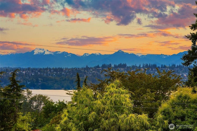 7826 115th Pl NE, Kirkland, WA 98033 - view of mountain backdrop